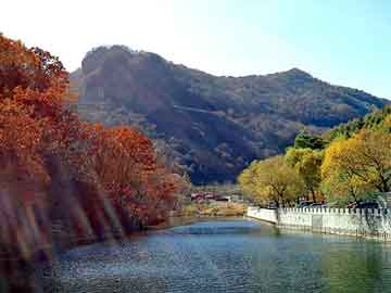 管家婆黑白马报图库，大关seo建站